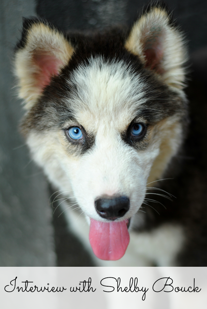 If you love husky puppies, sweetness, and sincerity, read this interview with blogger Shelby Bouck.
